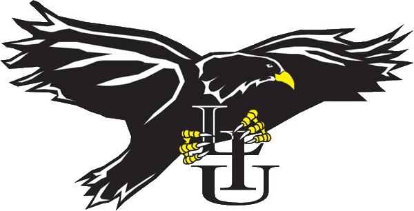 LIU-Brooklyn Blackbirds 1996-2007 Primary Logo DIY iron on transfer (heat transfer)